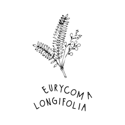 Eurycoma longifolia (Tongkat ali)